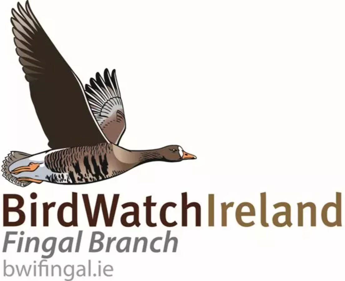 Fingal Branch Birdwatch Ireland