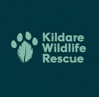 Kildare Wildlife Rescue
