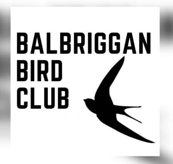 Balbriggan Bird Club